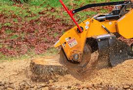 How Our Tree Care Process Works  in  Alamo, CA